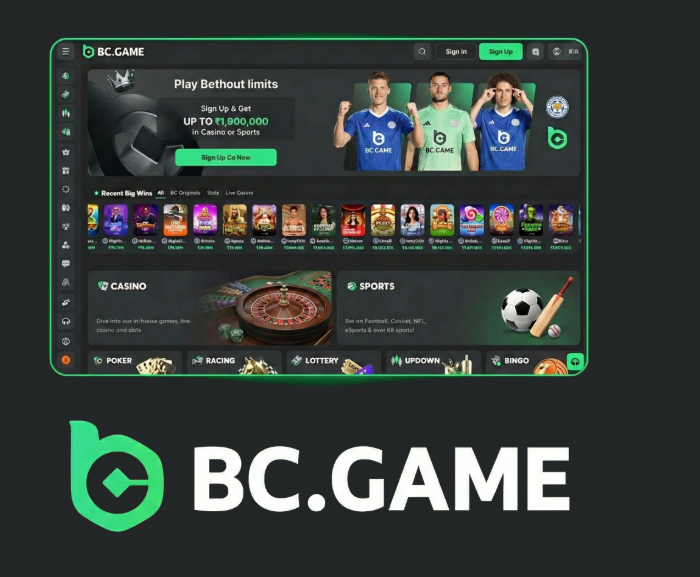 Exploring BC.Game A New Era of Online Gaming in Spain -303755119